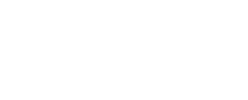 magpie performers logo white